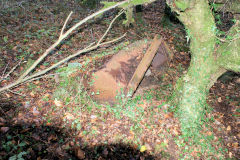 Nine Mile Point Colliery aerial ropeway bucket, December 2009